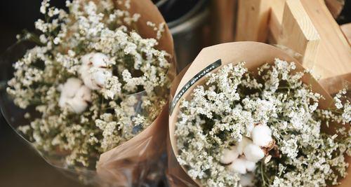 SQL Server 2008中的代码安全之主密钥详解