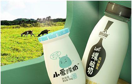 DB2提高IMPORT命令性能操作的2个好用方案